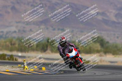 media/Nov-12-2023-SoCal Trackdays (Sun) [[5d1fba4e7d]]/Turn 14 (1035am)/